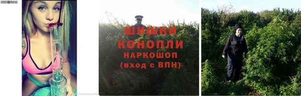 соль курить ск Волосово