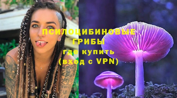 apvp Верея