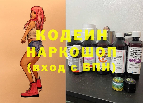 шишки Козловка