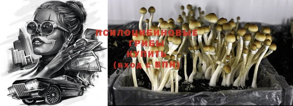 apvp Верея