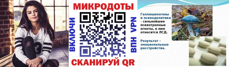 Псилоцибиновые грибы Psilocybine cubensis  сколько стоит  Зубцов 