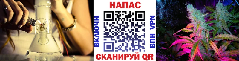 Бошки Шишки марихуана  Зубцов 